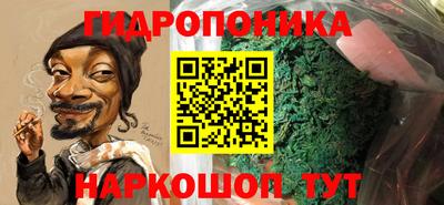 спиды Кинель