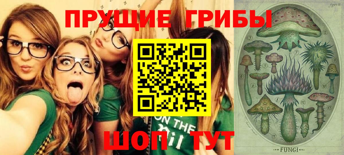 НБОМе Красногорск