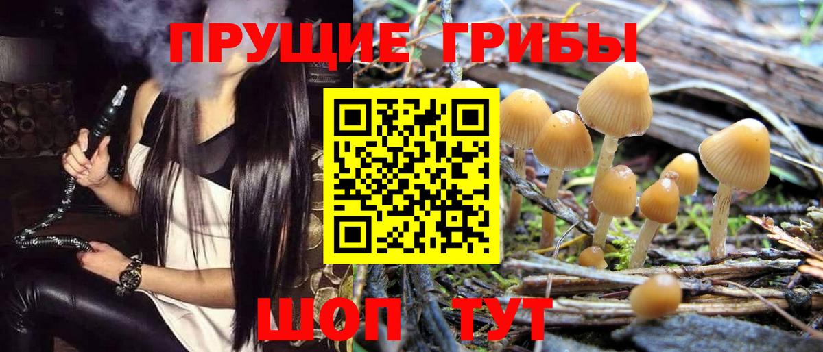 Галлюциногенные грибы GOLDEN TEACHER  Красногорск 