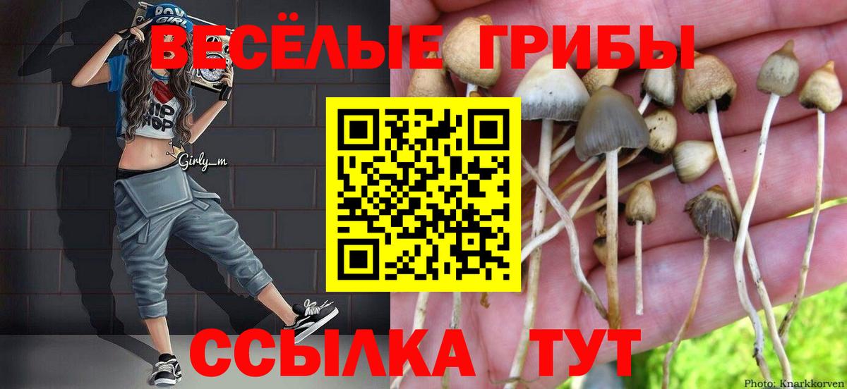 Псилоцибиновые грибы GOLDEN TEACHER  Вход с VPN  Красногорск 