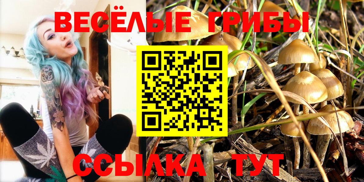 Псилоцибиновые грибы прущие грибы Красногорск
